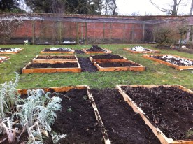 Raised beds