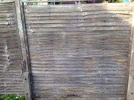Old broken fence panel