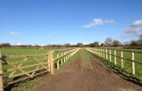 Post and rail paddocks
