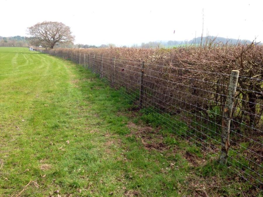 stock fencing