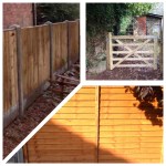 See all Garden Fencing
