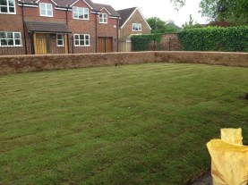 New lawn