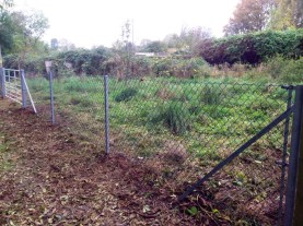 Chain link fencing and gate