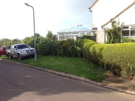 Hedge before