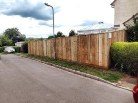 Hedge removed and replaced with fence