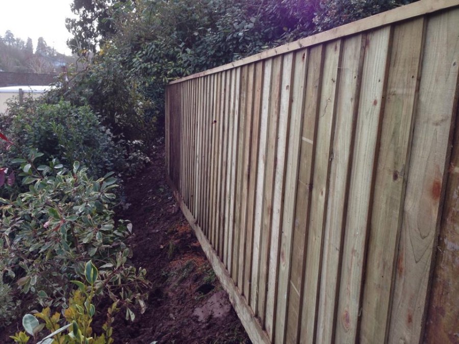New fencing and shrubs